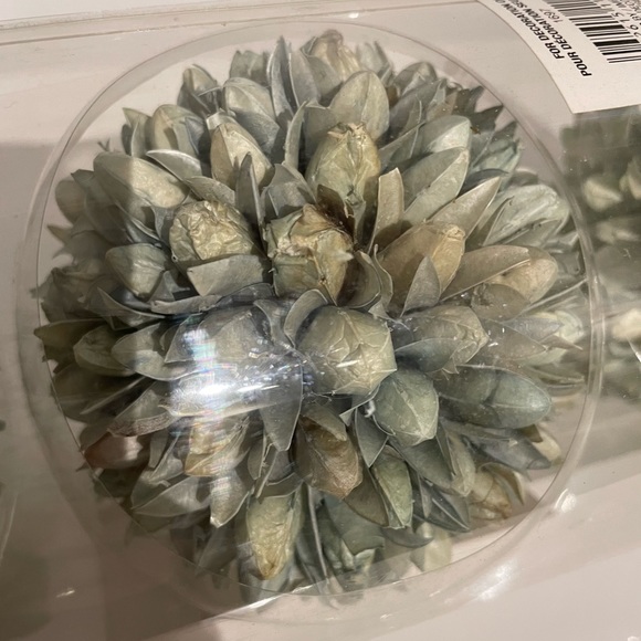 Danson Decor Dried Chrysanthemum Floral Balls - Picture 4 of 6